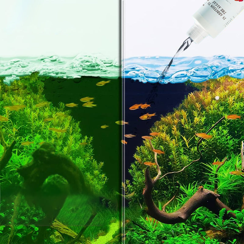⏳Begrenzte Zeit 50 % Rabatt⏳Effektive Algenbekämpfung für Aquarien