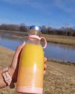 ✨Neuer Verkauf 2025✨Tragbarer Mixer für frischen Saft