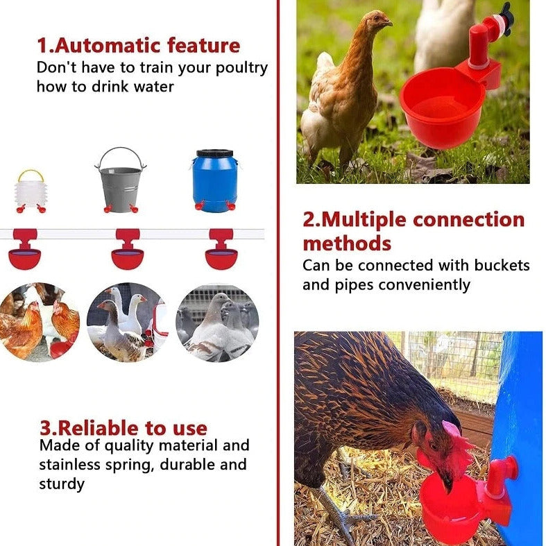 Automatischer Wasserspender für Hühner – hält Wasser sauber und frisch für gesunde Aufzucht💧