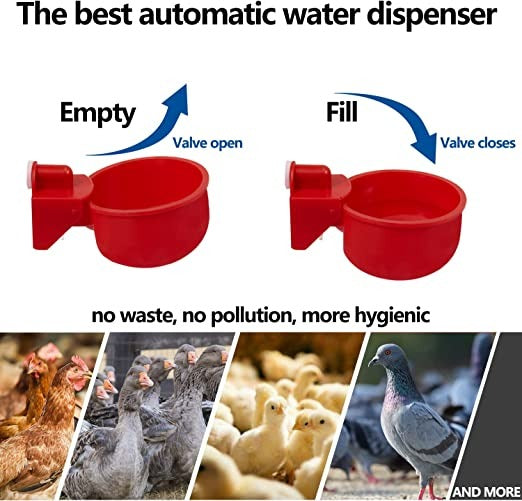 Automatischer Wasserspender für Hühner – hält Wasser sauber und frisch für gesunde Aufzucht💧