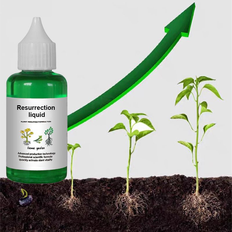 （ KAUFEN SIE 1, ERHALTEN SIE 1 GRATIS! ） Pflanzenwachstumsaktivator – Für alle Pflanzen, gesunde Wurzeln und strahlende Blüten 🌱🌿