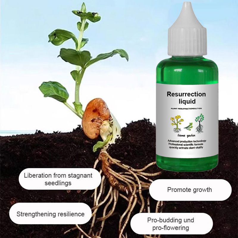 （ KAUFEN SIE 1, ERHALTEN SIE 1 GRATIS! ） Pflanzenwachstumsaktivator – Für alle Pflanzen, gesunde Wurzeln und strahlende Blüten 🌱🌿