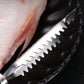 🔥Fischschuppenentferner aus Edelstahl