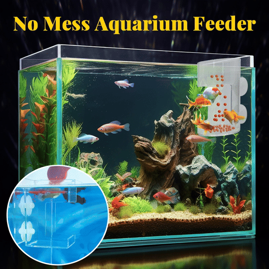 ⏳Begrenzte Zeit 50% Rabatt💥🐟Aquarien-Futterring und Schale