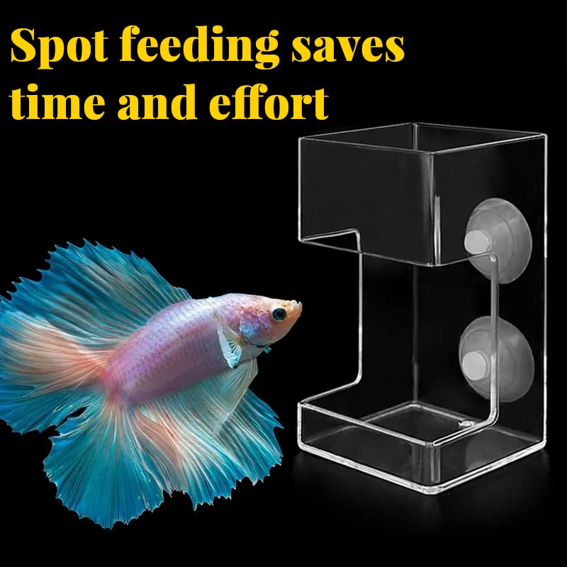 ⏳Begrenzte Zeit 50% Rabatt💥🐟Aquarien-Futterring und Schale