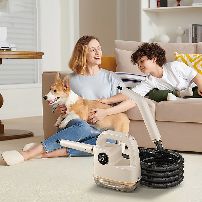 🌟Jahresendverkauf 2025 – 61 % Rabatt💨💦Tragbares Hochtemperatur-Dampfreiniger-Set