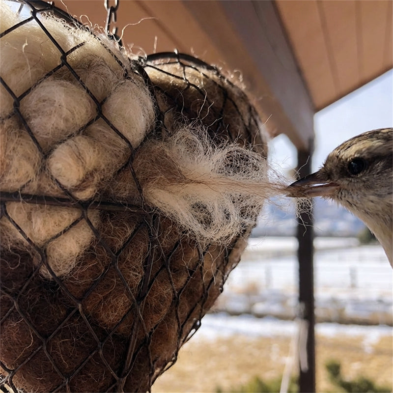 🐦🌱 Handgefertigtes Vogelnestherz aus Alpakafasern❤️