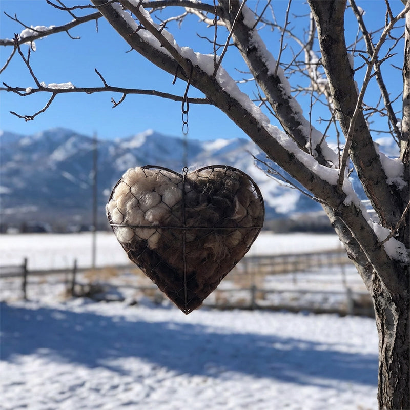🐦🌱 Handgefertigtes Vogelnestherz aus Alpakafasern❤️