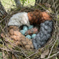 Herzförmiges Vogelhaus-Ornament zum Aufhängen
