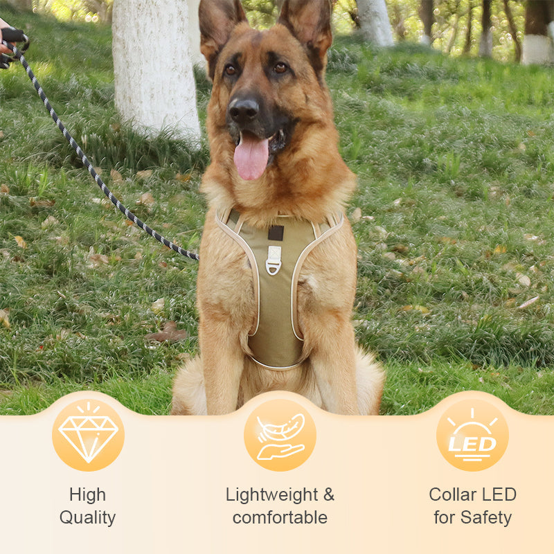🐕 48% RABATT! ✨ Hundegeschirr ohne Zugkraft mit Leine und LED-Halsband – Vorderer D-Ring, Reflektierend, Verstellbar 🦮