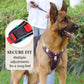 🐕 48% RABATT! ✨ Hundegeschirr ohne Zugkraft mit Leine und LED-Halsband – Vorderer D-Ring, Reflektierend, Verstellbar 🦮
