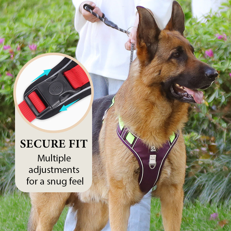 🐕 48% RABATT! ✨ Hundegeschirr ohne Zugkraft mit Leine und LED-Halsband – Vorderer D-Ring, Reflektierend, Verstellbar 🦮