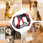 🐕 48% RABATT! ✨ Hundegeschirr ohne Zugkraft mit Leine und LED-Halsband – Vorderer D-Ring, Reflektierend, Verstellbar 🦮