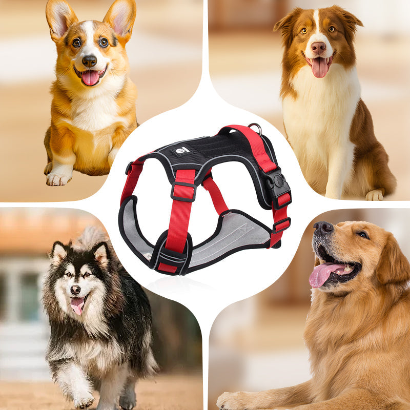 🐕 48% RABATT! ✨ Hundegeschirr ohne Zugkraft mit Leine und LED-Halsband – Vorderer D-Ring, Reflektierend, Verstellbar 🦮