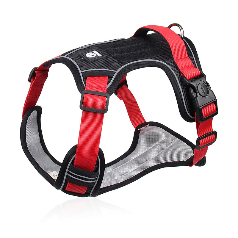 🐕 48% RABATT! ✨ Hundegeschirr ohne Zugkraft mit Leine und LED-Halsband – Vorderer D-Ring, Reflektierend, Verstellbar 🦮