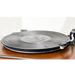 Antistatisches Vinyl-Schallplatten-Reinigungsspray