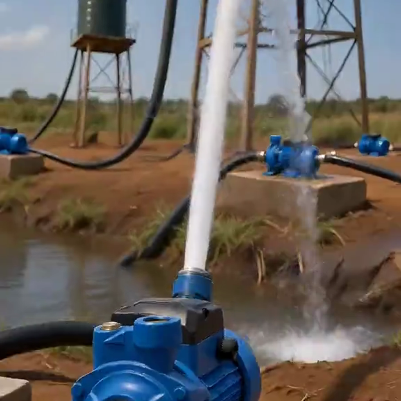 Selbstansaugende Wasserdruckpumpe