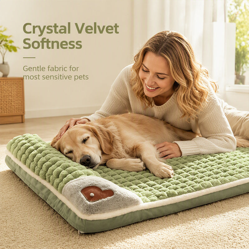 🛏️ Gepolsterte, waschbare Hundematte – Weich, warm & vielseitig – Ideal für Hunde & Katzen – für alle Jahreszeiten ✨
