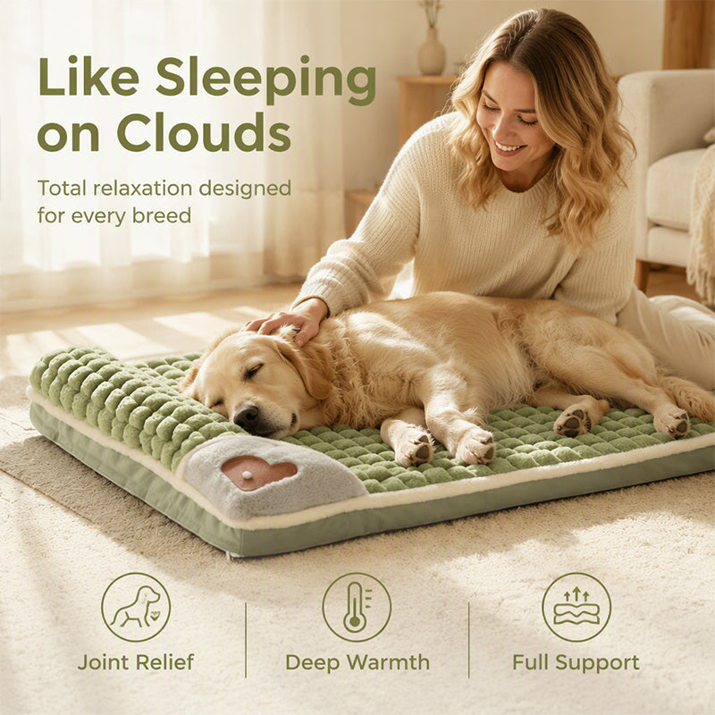 🛏️ Gepolsterte, waschbare Hundematte – Weich, warm & vielseitig – Ideal für Hunde & Katzen – für alle Jahreszeiten ✨