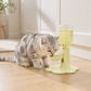 🐱  💧 Katzenwasserbrunnen mit verstellbarer Halswirbelsäule – 3-stufig höhenverstellbar, rutschfest & automatische Nachfüllung – Für gesundes Trinken & mehr Komfort ✨