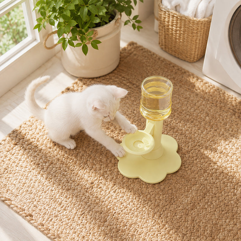 🐱  💧 Katzenwasserbrunnen mit verstellbarer Halswirbelsäule – 3-stufig höhenverstellbar, rutschfest & automatische Nachfüllung – Für gesundes Trinken & mehr Komfort ✨