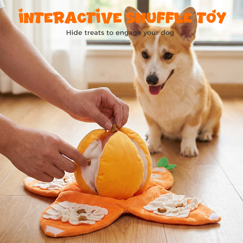 🍊 Neu & Schnüffelspaß! 🐶 Interaktives Schnüffel- & Plüsch-Hundespielzeug in Orangenform – Zwei Teile (Schale + Fruchtfleisch), versteckte Leckerli-Taschen