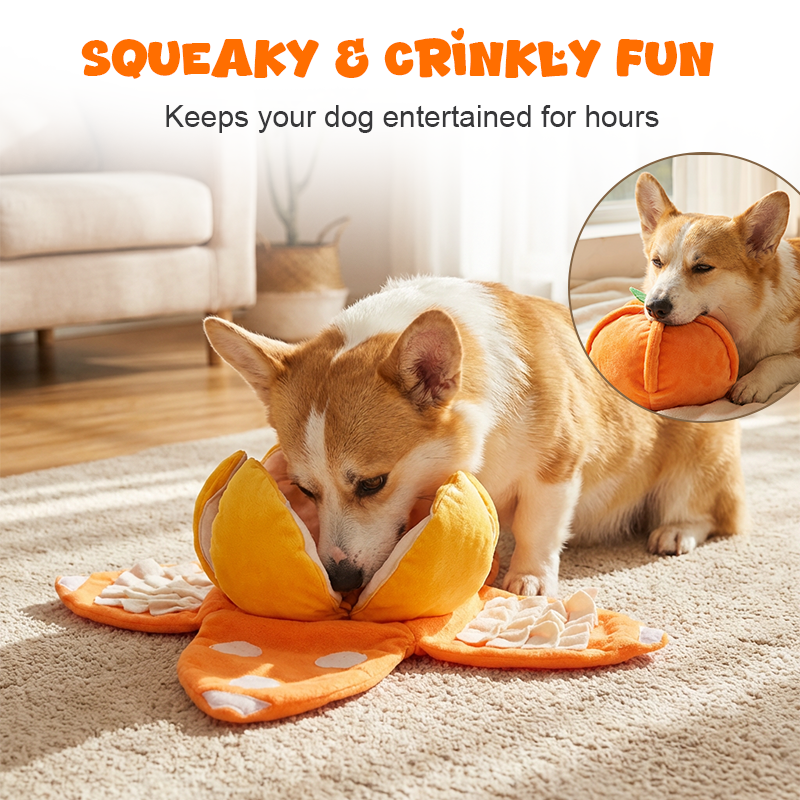 🍊 Neu & Schnüffelspaß! 🐶 Interaktives Schnüffel- & Plüsch-Hundespielzeug in Orangenform – Zwei Teile (Schale + Fruchtfleisch), versteckte Leckerli-Taschen