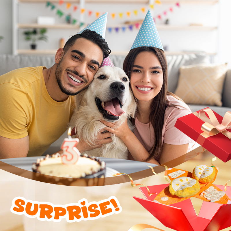 🍊 Neu & Schnüffelspaß! 🐶 Interaktives Schnüffel- & Plüsch-Hundespielzeug in Orangenform – Zwei Teile (Schale + Fruchtfleisch), versteckte Leckerli-Taschen