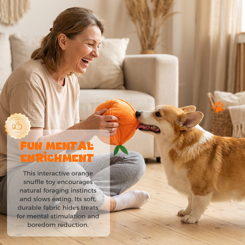 🍊 Neu & Schnüffelspaß! 🐶 Interaktives Schnüffel- & Plüsch-Hundespielzeug in Orangenform – Zwei Teile (Schale + Fruchtfleisch), versteckte Leckerli-Taschen
