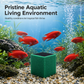 🐟 Aktivkohlefilter-Würfel zur Reinigung von Aquarienwasser