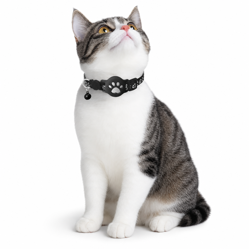 ⏰Reflektierendes Katzenhalsband mit wasserdichtem smartem Haustier-Tracker