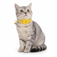 ⏰Reflektierendes Katzenhalsband mit wasserdichtem smartem Haustier-Tracker